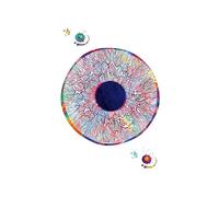 Supkan natomia dell'occhio Oftalmologo Optometria Strumento Astratto Nordic Poster e Stampe Arte della Parete Tela Pittura Medici Decorazione dell'ufficio(D,20X25 cm Unframed)