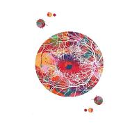 Supkan natomia dell'occhio Oftalmologo Optometria Strumento Astratto Nordic Poster e Stampe Arte della Parete Tela Pittura Medici Decorazione dell'ufficio(C,A4 21X30 cm Unframed)