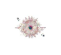 Supkan natomia dell'occhio Oftalmologo Optometria Strumento Astratto Nordic Poster e Stampe Arte della Parete Tela Pittura Medici Decorazione dell'ufficio(E,20X25 cm Unframed)