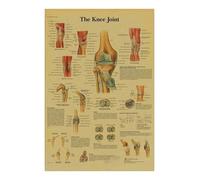Supkan natomia E Fisiologia Poster Carta Kraft Stampe La Struttura del Corpo Scheletro Vintage Home Room Arte Medica Decorazione della Parete Pittura(8,A3 16.5x11.8inch)
