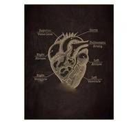 Supkan natomia Lavagna Poster Teschio Umano Cuore Polmone Scheletro Torso Stampe Vintage Chirurgia Stanza Medica Home Art Decorazione della Parete Pittura(Taglia Unica,A4 8.3x11.8inch)