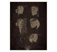 Supkan natomia Lavagna Poster Teschio Umano Cuore Polmone Scheletro Torso Stampe Vintage Chirurgia Stanza Medica Home Art Decorazione della Parete Pittura(7,A3 16.5x11.8inch)