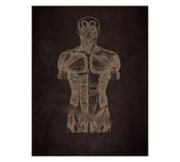 Supkan natomia Lavagna Poster Teschio Umano Cuore Polmone Scheletro Torso Stampe Vintage Chirurgia Stanza Medica Home Art Decorazione della Parete Pittura(4,A4 8.3x11.8inch)