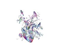 Supkan natomia Medica Farfalla Fiore Cuore Scheletro Bulbo oculare Stampa Artistica su Tela Pittura Poster Immagini murali Decorazioni for Soggiorno(Canvas C,5X7 inch 13x18cm)