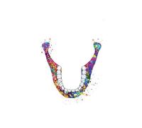 Supkan natomia Medica Poster E Stampe Stomaco Polmoni Cuore Dente Floreale Wall Art Canvas Pittura Immagini a Parete for Living Room Decor(C,A4 21X30cm No Framed)