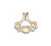 Supkan natomia Umana Cranio Polmone Colonna vertebrale Lombare Scheletro Medico Arte della Parete Tela Pittura Poster e Stampe Immagini a for Decorazione Clinica(G,A4 21X30 cm Unframed)