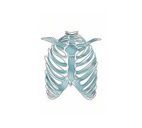 Supkan natomia Umana Cranio Polmone Colonna vertebrale Lombare Scheletro Medico Arte della Parete Tela Pittura Poster e Stampe Immagini a for Decorazione Clinica(D,10X15 cm Unframed)