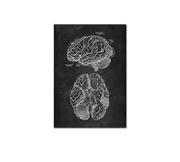 Supkan natomia Umana Opera d'Arte Clinica Medica Quadro da Parete Scheletro Organo Sistema Muscolare Stampe su Tela Manifesti for l'educazione del Corpo(YP288,20X30cm No Frame)