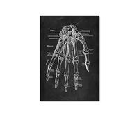 Supkan natomia Umana Opera d'Arte Immagine da Parete Medica Scheletro Organo Sistema Muscolare Poster Vintage Stampa su Tela Body Education Painting(Picture Q,30x40cm No Frame)