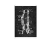 Supkan natomia Umana Opera d'Arte Immagine da Parete Medica Scheletro Organo Sistema Muscolare Poster Vintage Stampa su Tela Body Education Painting(Picture C,A4 21x30cm No Frame)