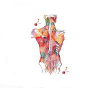Supkan natomia Umana Sistema Muscolare Wall Art Poster e Stampe Mappa del Corpo Immagini a Parete Educazione Medica HD Decorazioni for la casa Pittura su Tela(4,21cmX30cmA4 No Frame)