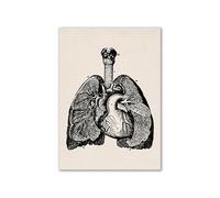 Supkan rte della Parete Vintage Organi Umani Anatomia Poster e Stampe Opere d'Arte Immagini mediche Scheletro Muscolare Tela Pittura Decorazioni for la casa(3,A3 30x42cm No Frame)
