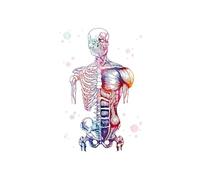 Supkan ones della Colonna vertebrale Scheletro Watercolor Art Canvas Pittura Poster Poster Anatomia Medicina Clinica Disput for la casa(B,40X60CM No Frame)
