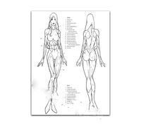 Supkan onna Uomo Corpo Scheletro Anatomia Acquerello Stampa Studente di Medicina Scienza Chirurgia Anatomica Poster Home Wall Decor Doctor Gift(6,20x25cm No Frame)