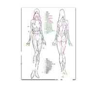 Supkan onna Uomo Corpo Scheletro Anatomia Acquerello Stampa Studente di Medicina Scienza Chirurgia Anatomica Poster Home Wall Decor Doctor Gift(8,21x30cm No Frame)