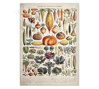Supkan iore botanico Poster di Carta Kraft Farfalla Floreale Insetto Frutta Uccelli Animale Vintage Home Bar Cafe Decor Art Pittura murale(15,20x30cm-7.8x11.8in)