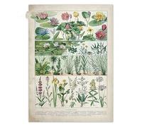 Supkan iore botanico Poster di Carta Kraft Farfalla Floreale Insetto Frutta Uccelli Animale Vintage Home Bar Cafe Decor Art Pittura murale(16,30X42cm-11.8inx16.5i)