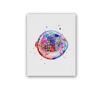 Supkancl Occhio Anatomia Medico Poster E Stampe Optometrista Regalo Oftalmologia Medicina di Arte della Parete della Tela Canapa Pittura Immagini Clinica Decor(2,60X80cm Canvas)