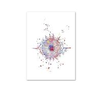 Supkancl Oftalmologo Ottico Eye Anatomy Wall Art Canvas Pittura Astratta Poster E Stampe Immagini A Parete for Doctor Office Decor(D,60X80 cm Unframed)