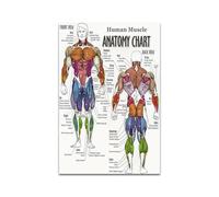 Supkancl Opera d'Arte di Anatomia Umana Immagine da Parete Medica Scheletro Muscolare Poster d'Epoca Stampa su Tela nordica Pittura Moderna Decor(PC 20215,50X80cm No Frame)