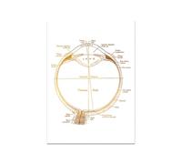 Supkancl Optometria Decorazione for Ufficio Stampa di pellicole-Optometria Anatomia dell'occhio-Ottico Arte della Parete-Optometrista Ufficio-Studente Medicina(Taglia Unica,13x18cm Canvas)