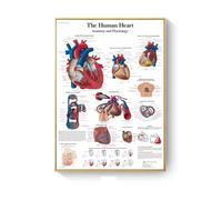 Supkancl Patologia Grafico Anatomia Malattie Poster E Stampe su Tela Pittura Immagini A Parete for Soggiorno Decorazione Complementi Arredo Casa(B,15X20cm No Frame)