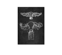 Supkancl Quadro su Tela Senza Cornice Anatomia Umana Opera d'Arte Clinica Medica da Parete Scheletro Organo Sistema Muscolare Poster educativo Vintage(11,30X45CM No Fram)