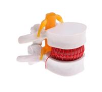Supkancl Scheletro Umano Modello anatomico della Colonna vertebrale Ernia Lombare Anatomia del Disco Ornamento Strumento didattico Medico