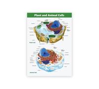 Supkancl Stampe di Cellule vegetali e Animali Poster Scienza Biologia della Scuola Media Scienza Pittura su Tela Sala Studio Immagini a Parete Decor(A5 15x21 cm No Frame)