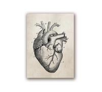 Supkancl Testa Umana Vintage e Anatomia cerebrale Stampe su Tela Poster Neuroscienze Anatomia Pittura Medici Ufficio Wall Art Decor(5,A5 15x21 cm No Frame)