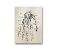 Supkancl Testa Umana Vintage e Anatomia cerebrale Stampe su Tela Poster Neuroscienze Anatomia Pittura Medici Ufficio Wall Art Decor(7,A4 21x30 cm No Frame)