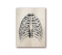 Supkancl Testa Umana Vintage e Anatomia cerebrale Stampe su Tela Poster Neuroscienze Anatomia Pittura Medici Ufficio Wall Art Decor(6,A5 15x21 cm No Frame)