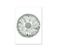 Supkancl Verde Astratto Medicina Anatomia Cuore Polmone Occhio Nordico Poster E Stampe Arte della Parete Tela di Canapa Pittura Immagini A for La Decorazione Clinica(F,40X50 cm Unframed)