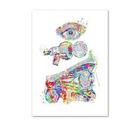 Supkancl Visione Optometrista Occhio Anatomia Medico Ottico Wall Art Canvas Painting Nordic Poster E Stampe Immagini a Parete for Clinic Decor(A,15X20cm No Framed)