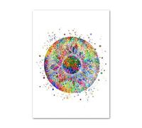 Supkancl Visione Optometrista Occhio Anatomia Medico Ottico Wall Art Canvas Painting Nordic Poster E Stampe Immagini a Parete for Clinic Decor(D,15X20cm No Framed)