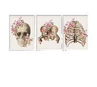 Supkancl Wall Art Stampa Floreale Ossa Scheletriche Anatomia Poster Teschio Colonna Vertebrale Medico Tela Pittura Astratta Clinica Ospedale Decor Immagini(Three Pictures,A3 30x42cm No Frame)