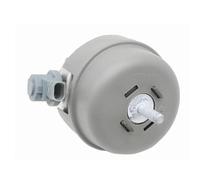 Supporti motore auto 4F0199382BN 4F0199379BL Supporto Assale Anteriore Supporti Idraulici Motore Cuscinetto Motore 3.0 Per A6 A6L Sospensione Motore(4F0199382BN Right)