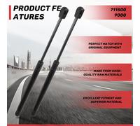 Supporti Per Alzare Il Cofano Anteriore Del Motore A Gas