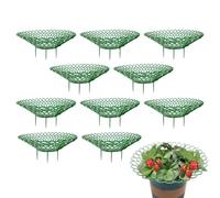 Supporti per Fragole da Giardino Supporto Resistente Per Piante Rampicanti | Gabbia Di Sostegno Con Fragole Per Uso In Giardino, Esterno Ed Interno, Per Coltivazione Di Ortaggi, Fiori, Piante Da F
