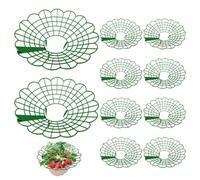 Supporti per fragole, protezione per fragole, supporto per telaio per una crescita sana delle piante, scaffale fisso adatto per l'agricoltura all'aperto