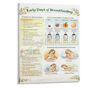Supporting Your Breastfeeding Journey Informative Poster Canvas Print for Bedroom(Framed,16x24inch(40x60cm))