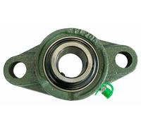 Ama Supporto a Cuscinetto con Flangia UCFL 205 - Corpo in Ghisa con Foro Diametro 25 mm e Interasse 99 mm, Ideale per Agricoltura e Trasmissioni di Potenza