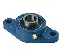 Supporto a flangia in ghisa UCFL 207 a 2 fori cuscinetto 35 mm LDI