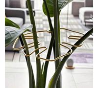 Supporto a graffio per pianta Monstera, design unico per piante rampicanti, kit con molletta in bambù, supporto ideale per una crescita sana, sistema di stabilizzazione e supporto robusto per Monstera