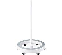 Supporto a rotelle TOOLCRAFT TO-7167603 N/A N/A