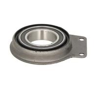 Supporto albero di trasmissione H3W001BTA BTA per VW MULTIVAN T5