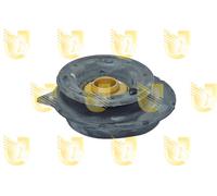 Supporto ammortizzatore a molla Assale anteriore Sx per FIAT FORD LANCIA 500 500