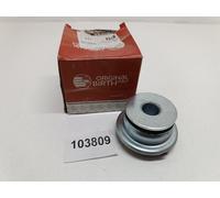 SUPPORTO ASSALE POSTERIORE CONTROL ARM BUSH REAR BIRTH PER FIAT PUNTO 176 5732