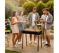 Supporto BBQ a Carbonella 75x28 cm - Griglia in Acciaio (40713)