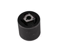 Supporto Braccio Oscillante Anteriore Sinistro Destro Per BMW X5 E53